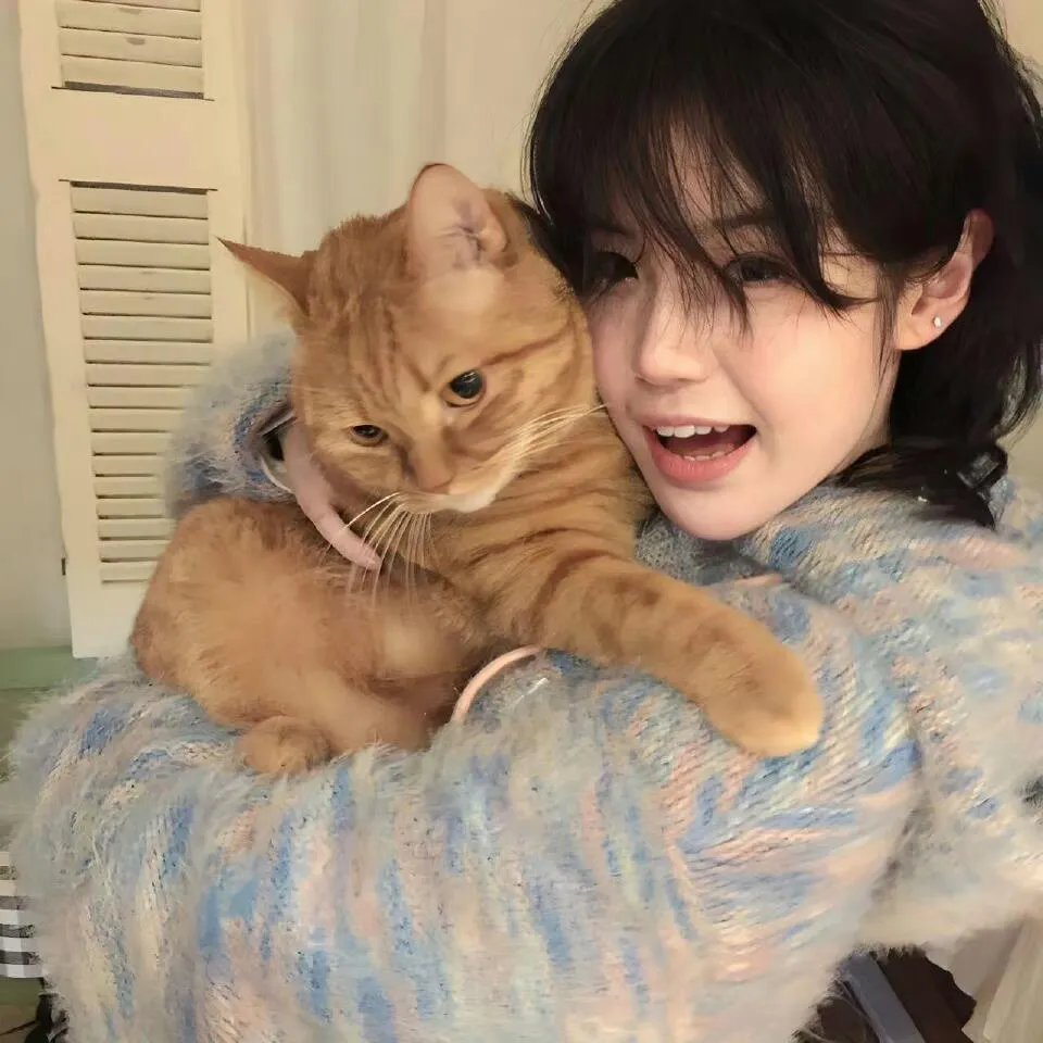 猛鬼街2国语